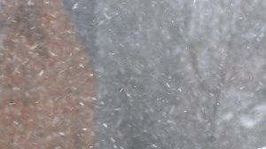 Free stock video - Swirling snowfall in slow motion