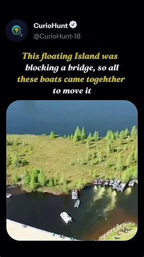 Boats vs Floating Island!