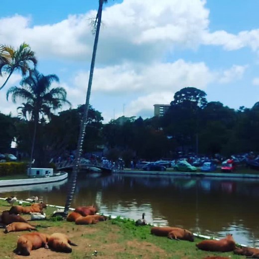 praça Ademar de Barros aguas de lindoia SP bgt 12 2022