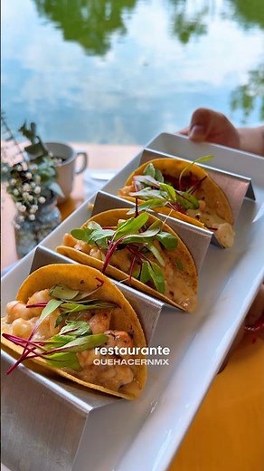 Delicious food with a view of Chapultepec Lake