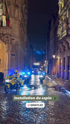 103K views · 3K reactions | Ça y est, le sapin de Noël est installé sur la plus belle place du monde 朗 - Het staat er: de kerstboom is geplaatst op het mooiste plein ter wereld 朗 | Philippe Close | Facebook