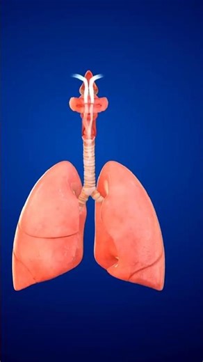 Respiration Class 10 Assamese medium #gyanamtuition