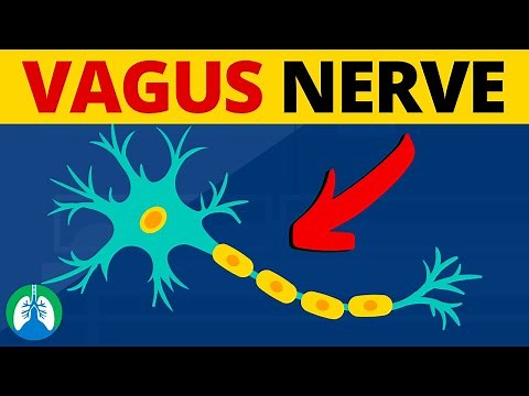Vagus Nerve Stimulation | Side Effects During Suctioning