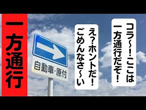 How to avoid driving the wrong way down a one-way street? / Video for paper drivers and beginner ...