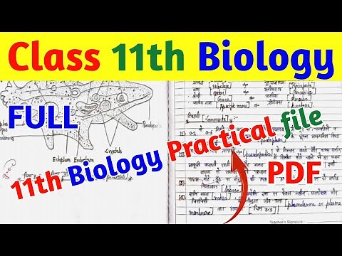Class 11th biology Practical file full pdf ||11th biology Practical file How to Write the board Exam
