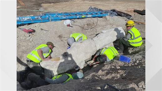 New fossils excavated at Dinosaur National Monument