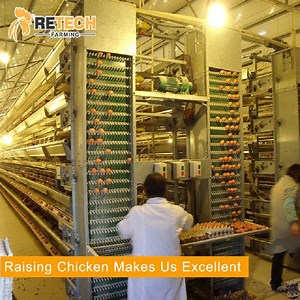 [Hot Item] Automatic egg collecting machine for chicken egg poultry farm