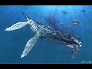 ~|First ||Prehistoric Shark|| captured on a real photage.. watch |~