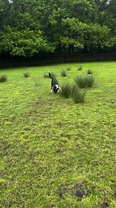 Our lovely boy Barney | Stephen Kelleher