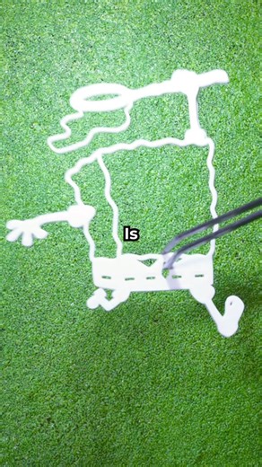 Is Spongebob Real? Exploring the Mystery of SpongeBob SquarePants