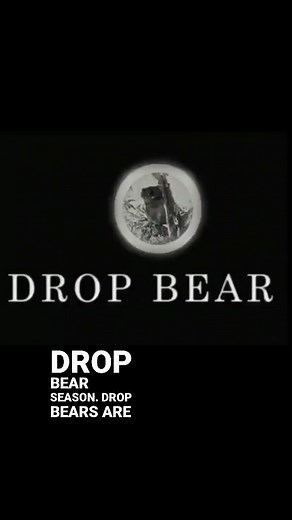 630K views · 414 reactions | LOOK UP AND LIVE! It's the start of drop bear season today. Get yourself educated and stay safe. There are no dropbears in the desert, so join my next Outback tour. It's the safest place to be. Except for the hoop snakes. | Sids.ventures | Facebook