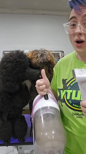 2.6K views · 811 reactions | This is far from an exhaustive list. I...