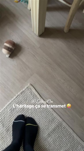 L'héritage du Pomeranian et du Spitz sur TikTok