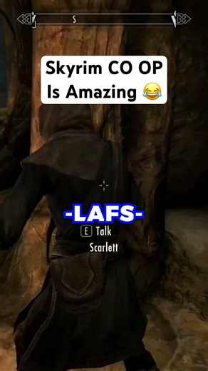Skyrim Co Op Is AMAZING 😂