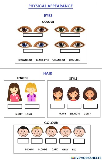 Physical appearance interactive exercise for GRADE 4