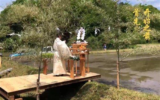 在日本的农村生活是一种什么体验呢？