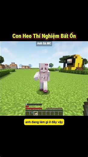 Thịt Heo Của Chi Chi Hôm Nay Nó Lạ Lắm ??! 🤣 - Tập 1176 #shorts #minecraft