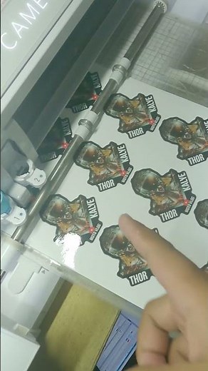 CAMEO 4 CUTTING USING WITH FRONT AND BACK SUPPORT