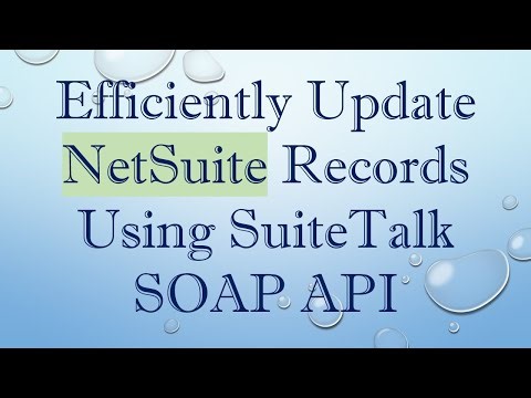 Efficiently Update NetSuite Records Using SuiteTalk SOAP API
