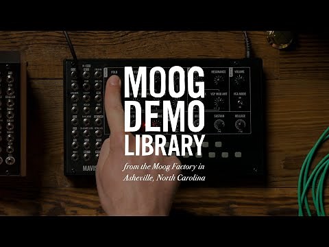 Moog Mavis | Introduction to the Wavefolder