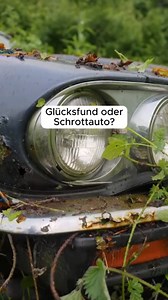 Ist das ein Glücksfund? 🚗🔧 „Ant Anstead: Born Mechanic“ ➡️ Montag 20:15 Uhr auf #DMAX Ganze Folgen gibt es auf discovery ! #AntAnstead #restaurationautomobile | DMAX