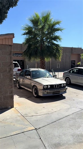 Exploring BMW E30 Models and Their Unique Styling