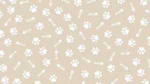 Cat footprints pattern Background (8 seconds loop, 4 colors set)