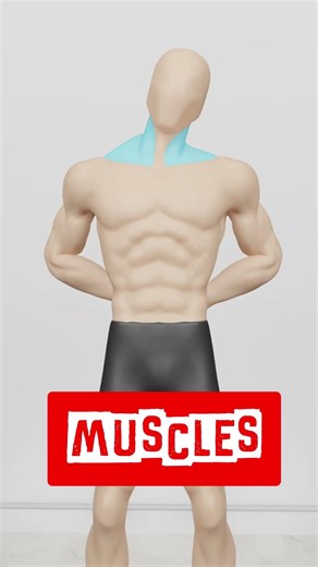 Minute Stretch If You Sit at the Computer for a Long Time!