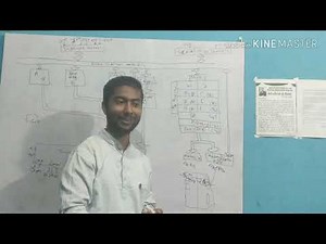 8085 internal architecture| explained with all basic details