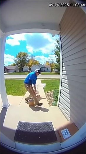 Goose attacks delivery guy #trending #trendingshorts #youtubeshorts