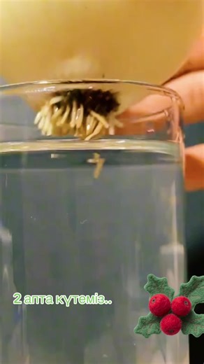 Жаман сөздерден қорғау жолдары