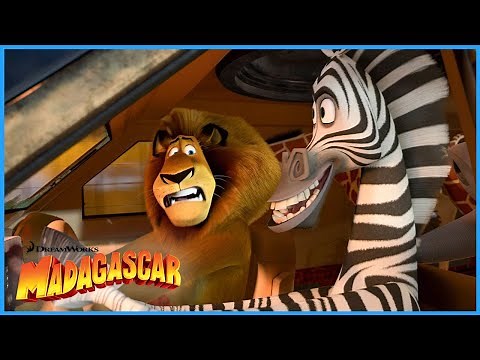 Car Chase Scene 🎬 🏎️ | Madagascar 3: Europe's Most Wanted | DreamWorks Madagascar