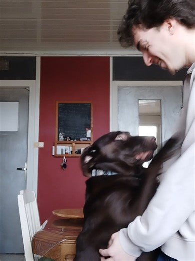 Why Dogs Are Our Best Friends