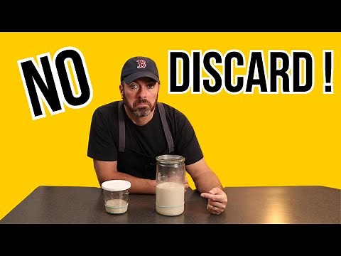 How to Maintain a Sourdough Starter (No Discard Method!)