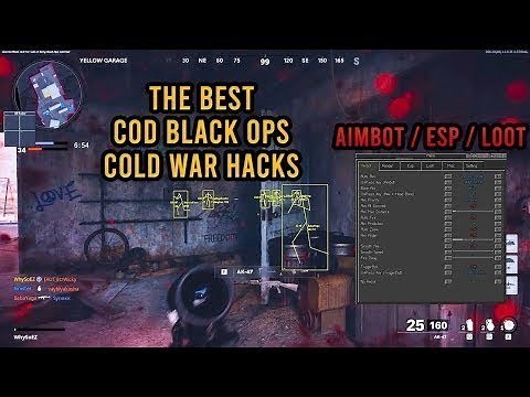 Cold War Hacks WORK in 2021 *EASY* (Mod Menu & Max Stats)