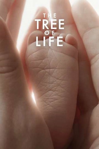 The Tree of Life (2011) - Movie