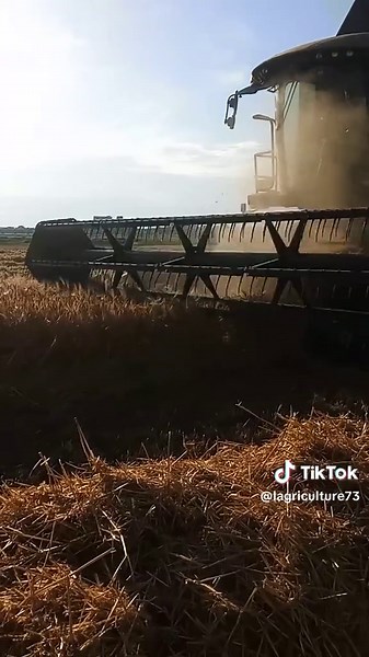 l'agriculture sur TikTok