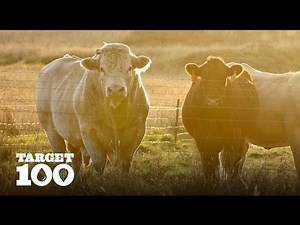 Sustainable Sheep and Cattle Farmers in Australia | Target 100