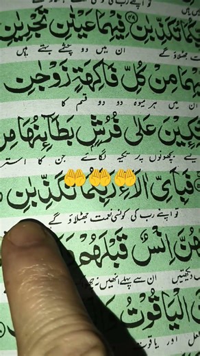 Quran Urdu translation#Islamic#YouTube short