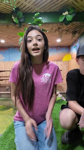 HAPPY SATURDAY! Are you into cute and spiky stuff? US TOO! 🦔 Inquire today! . . . #exotic #exoticanimals #exotic #newjersey #nj #bergencounty #morriscounty #animals #pet #pets #love #followback #instagramers #tweegram #photooftheday #20likes #amazing #smile #follow4follow #like4like #look #lfl #fff #art #instagood #fun #instagramers #model #food #smile | NJ Exotic Pets