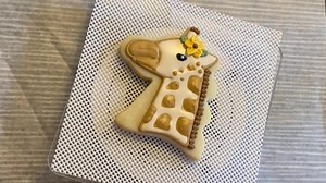 segolilysweets on TikTok