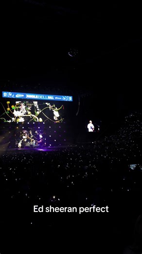 Ed Sheeran's Perfect Live Concert Performance
