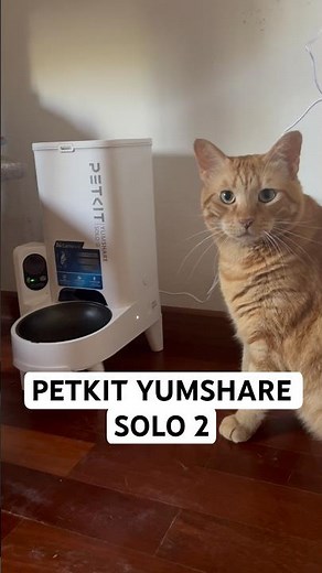 PETKIT YUMSHARE SOLO 2 Review | Smart Feeder with AI Camera & Raised Stand 🐱✨