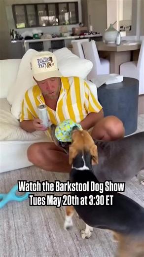 2.4K views · 17 reactions | To celebrate National Dog Rescue Day, the 2025 Barkstool Dog Show will be LIVE from Chicago on Tuesday (5/20) featuring Barstool employees & their canine best friends 3:30pm ET / 2:30pm CT on all Barstool Sports platforms Presented by Lucky One Lemonade | Barstool Chicago | Facebook