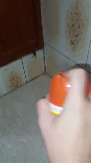 VC quer brincar na neveeeee