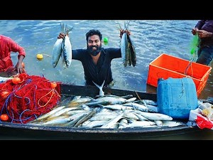 8 ഏക്കറിൽ മീൻ ചാകര കാണാം | Fish Chakara | M4 TECH |