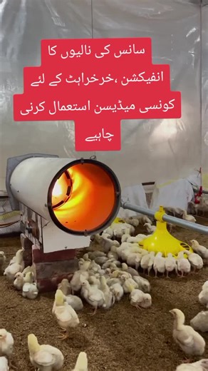 Medications for Respiratory Infection and Wheezing