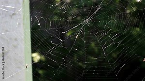 Close up of spiderweb handing over blurry forest near bridge with no spider