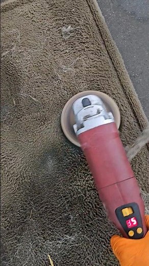 How to Remove Dog Hair from Car Carpet 2023: THE RIGHT WAY!