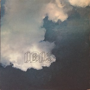 Ibis - Ibis